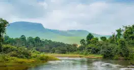 Demokratischen Republik Kongo