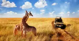 Safari in Afrika