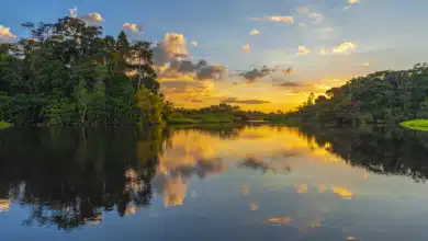 Surinam