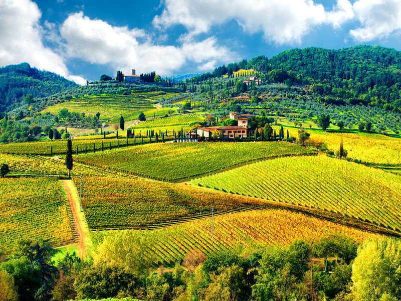 Weingut in der Toskana 