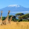 Kenia